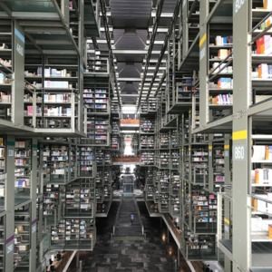 Meet your Posher, Erin